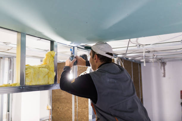 Best Blown-in Insulation  in Detroit Lakes, MN