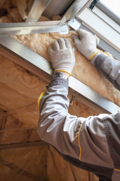 Best Wall Insulation Contractor  in Detroit Lakes, MN