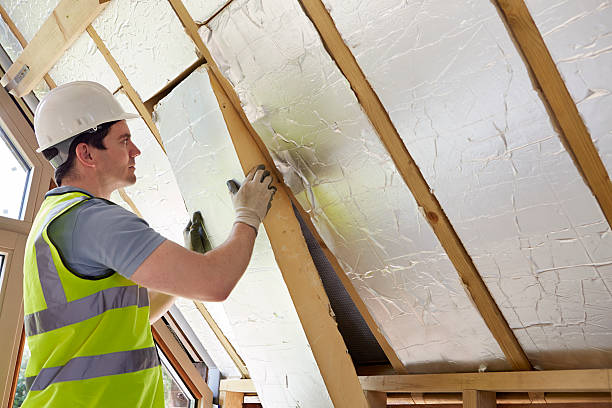 Best Insulation Replacement Services  in Detroit Lakes, MN